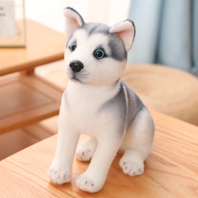 25/30cm Kawaii Husky Plush – Fluffy Soft Stuffed Dog
