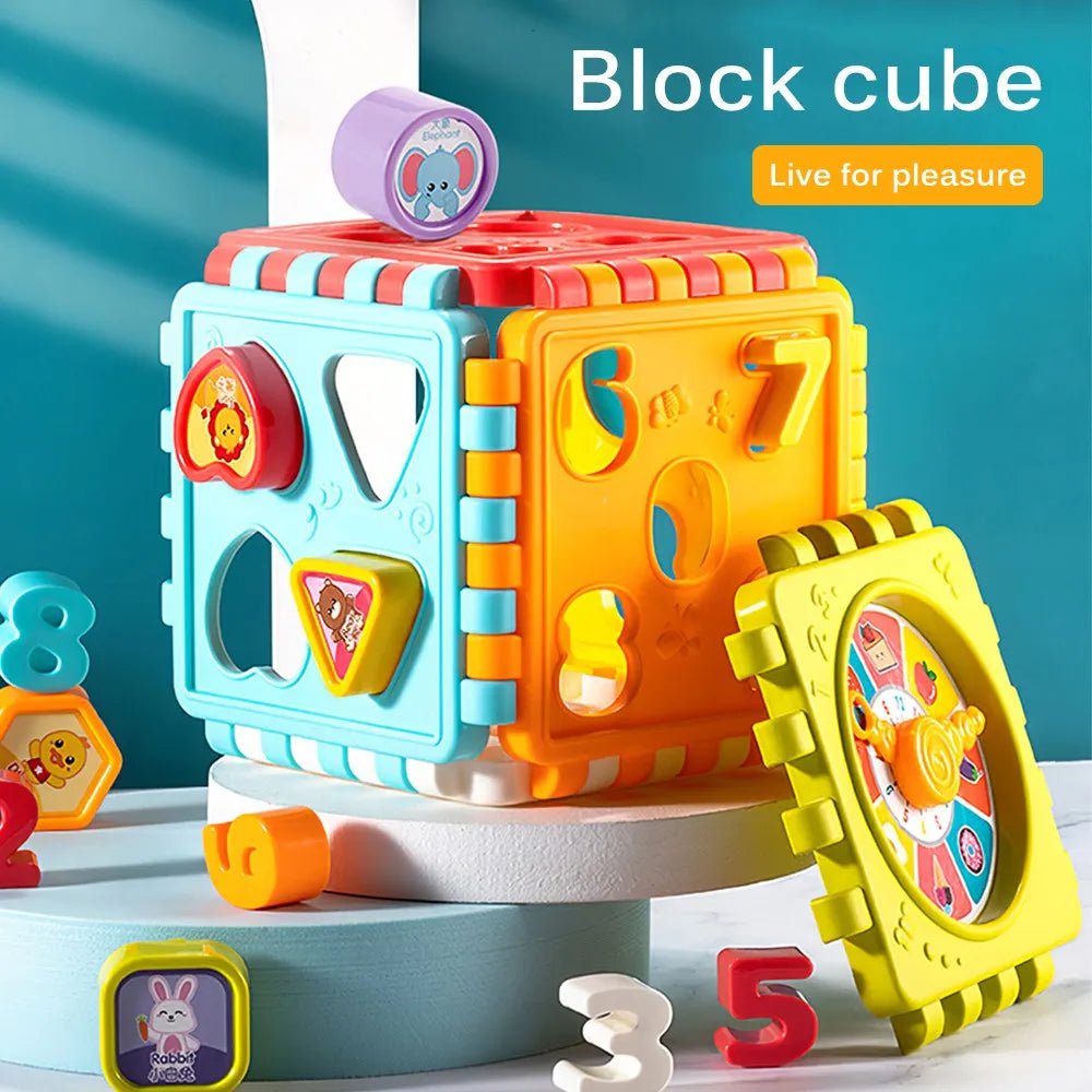 Hexahedron Shape Matching Puzzle Block - Number & Graphic for Baby