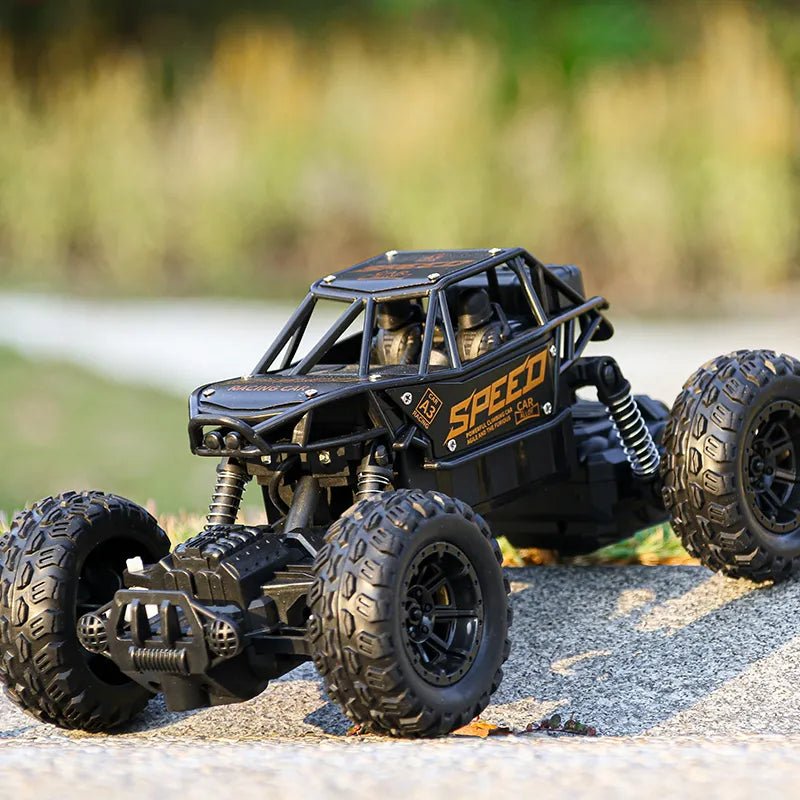 Alloy 4WD Mountain Monster - 1:16 RC Rock Climbing Car Toy