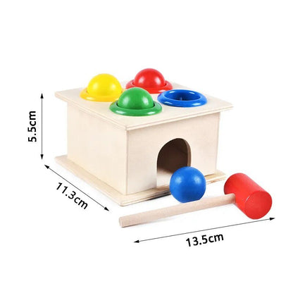 Montessori Wooden Puzzle Games for Babies 1-3 Years