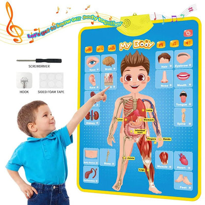 Electronic Alphabet Wall Chart: Educational Toy for Kids