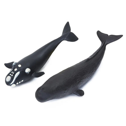 Large Soft Rubber Sea Life Figures - Whale & More, Educational Toy