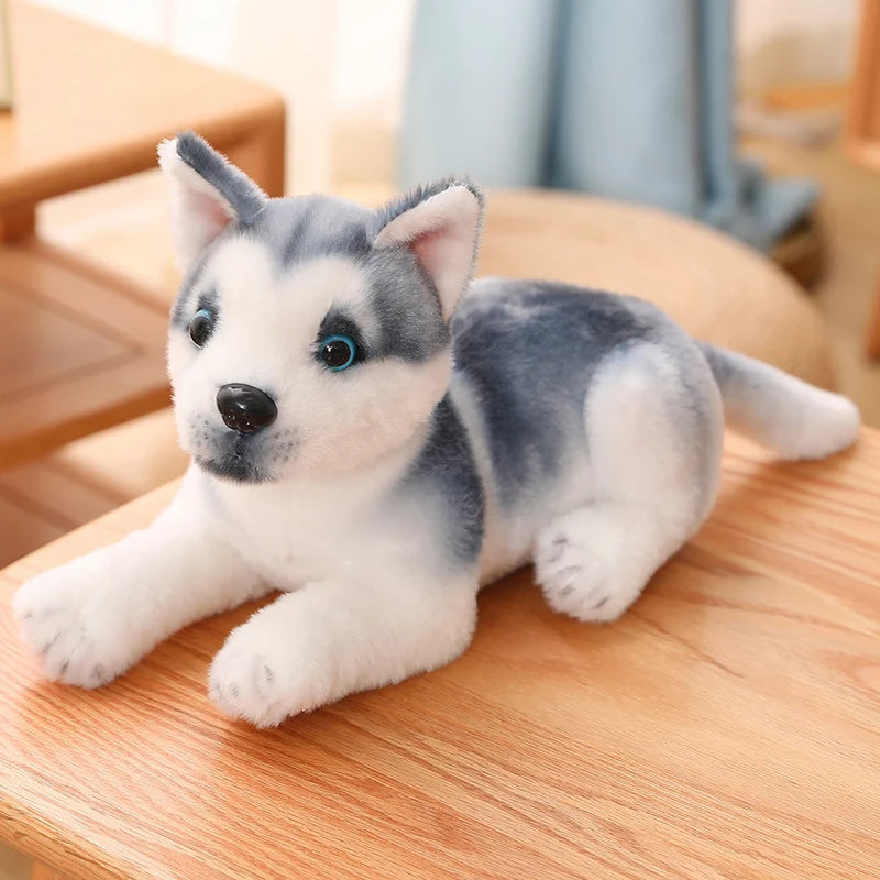 25/30cm Kawaii Husky Plush – Fluffy Soft Stuffed Dog