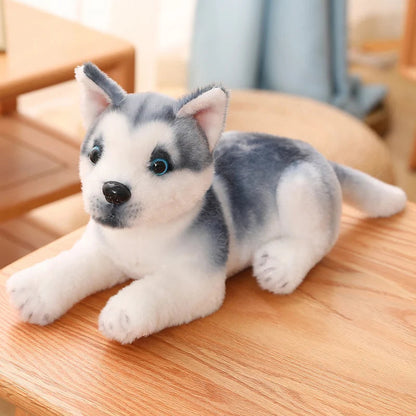 25/30cm Kawaii Husky Plush – Fluffy Soft Stuffed Dog