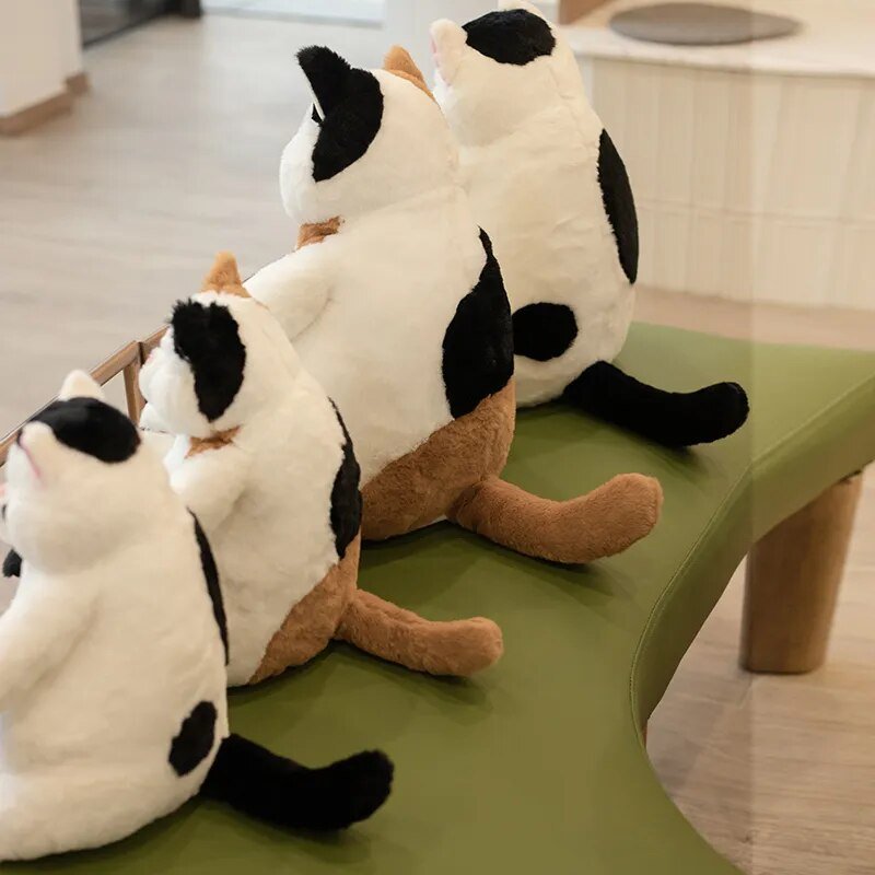 35cm Japanese Kawaii Plush Cat, Soft Stuffed Animal, Home Pillow