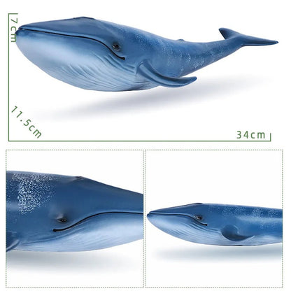 Large Soft Rubber Sea Life Figures - Whale & More, Educational Toy