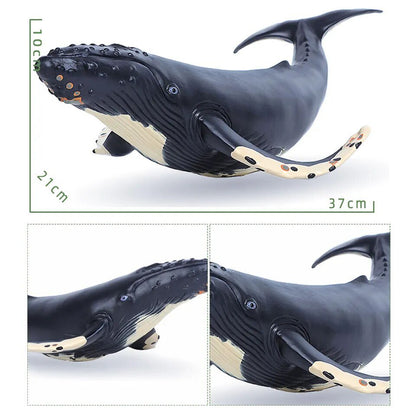 Large Soft Rubber Sea Life Figures - Whale & More, Educational Toy