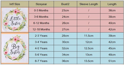 Little & Big Sister Match Jumpsuit Romper and T Shirt Family Outfits