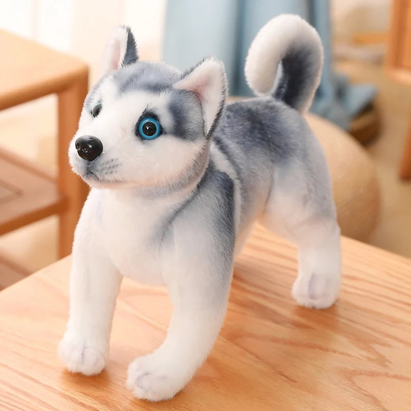 25/30cm Kawaii Husky Plush – Fluffy Soft Stuffed Dog