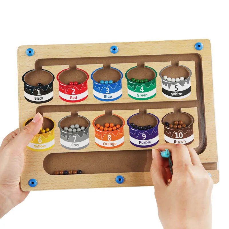 Montessori Magnetic Pen Ball Game: Sensory Educational Toy