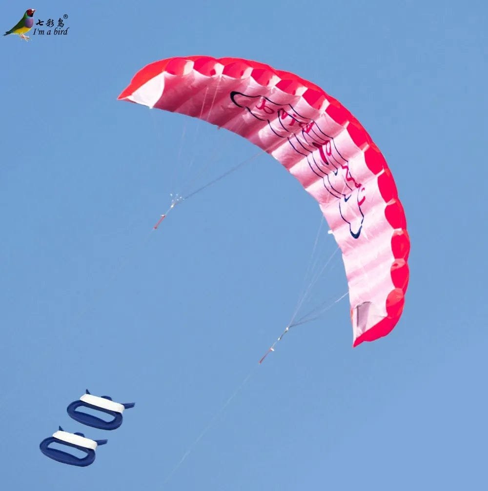 Rainbow Dual Line Stunt Parafoil Beach Kite - Outdoor Fun Sports for Beginners