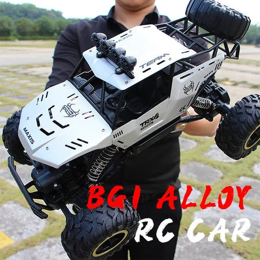 ZWN 1:12/1:16 4WD RC Car with LED - Off-Road Buggy for Kids