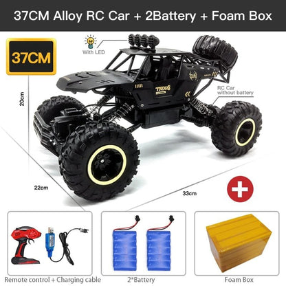 ZWN 1:12/1:16 4WD RC Car with LED - Off-Road Buggy for Kids
