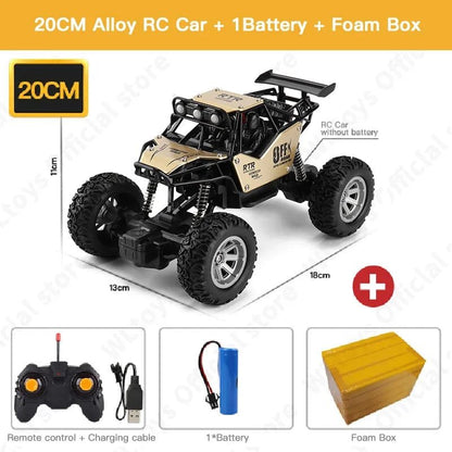 ZWN 1:20 2WD RC Car with LED Lights - Off-Road Buggy Toy