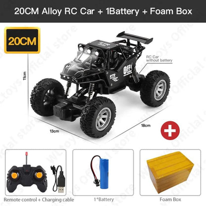 ZWN 1:20 2WD RC Car with LED Lights - Off-Road Buggy Toy