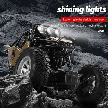 ZWN 1:20 2WD RC Car with LED Lights - Off-Road Buggy Toy