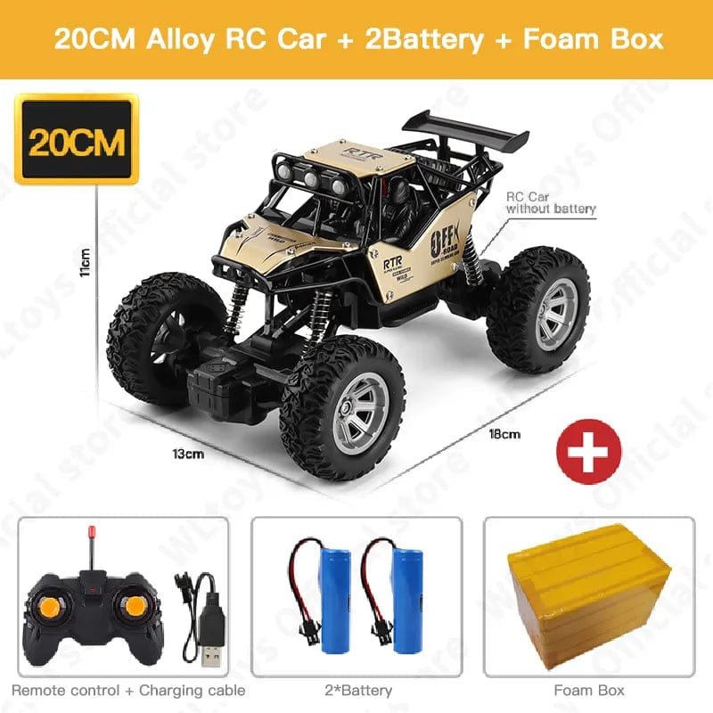 ZWN 1:20 2WD RC Car with LED Lights - Off-Road Buggy Toy